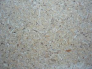 Natúr faforgács lap 12mm