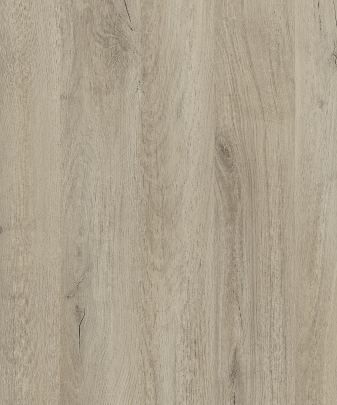 Szürke Arwen tölgy