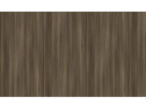 Sötét dylan tölgy