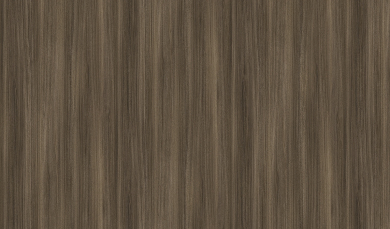 Sötét dylan tölgy